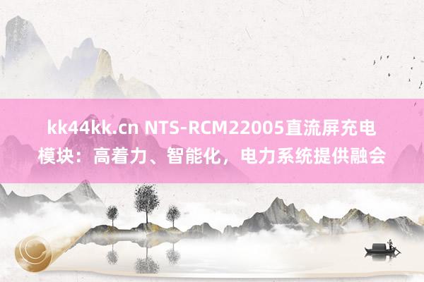 kk44kk.cn NTS-RCM22005直流屏充电模块：高着力、智能化，电力系统提供融会