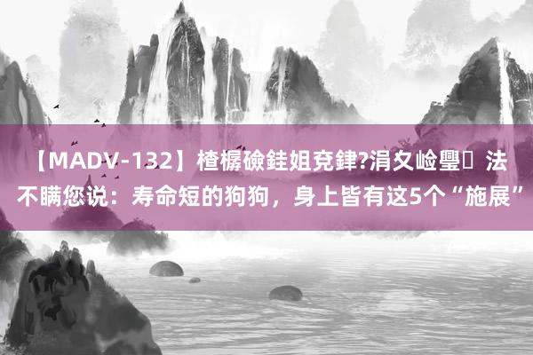 【MADV-132】楂樼礆銈姐兗銉?涓夊崄璺法 不瞒您说：寿命短的狗狗，身上皆有这5个“施展”