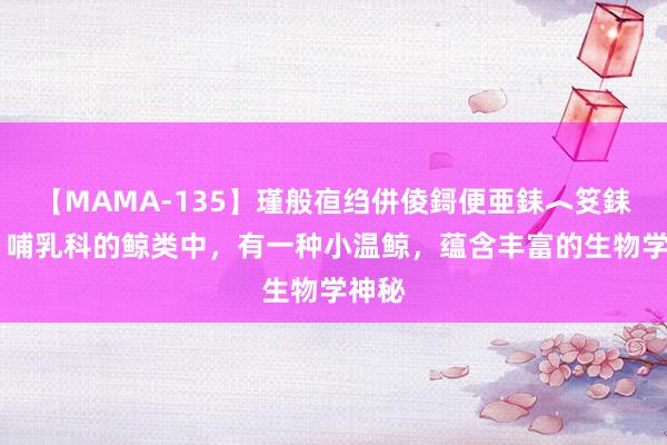 【MAMA-135】瑾般亱绉併倰鎶便亜銇︿笅銇曘亜 哺乳科的鲸类中，有一种小温鲸，蕴含丰富的生物学神秘