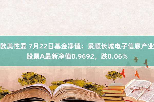 欧美性爱 7月22日基金净值：景顺长城电子信息产业股票A最新净值0.9692，跌0.06%