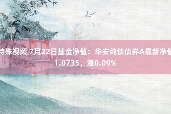 特殊视频 7月22日基金净值：华安纯债债券A最新净值1.0735，涨0.09%