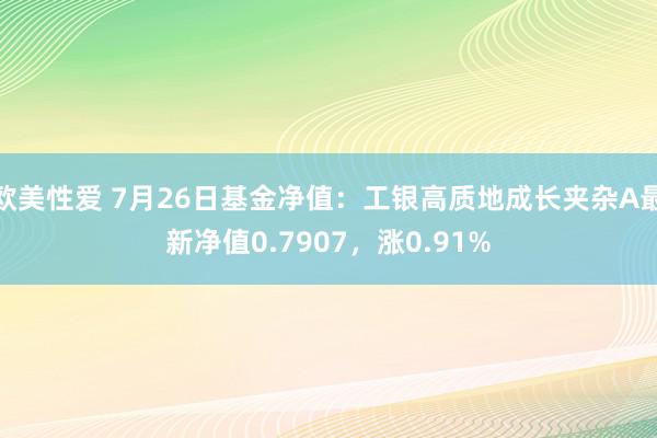 欧美性爱 7月26日基金净值：工银高质地成长夹杂A最新净值0.7907，涨0.91%