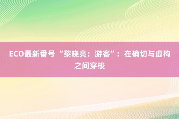 ECO最新番号 “黎晓亮：游客”：在确切与虚构之间穿梭