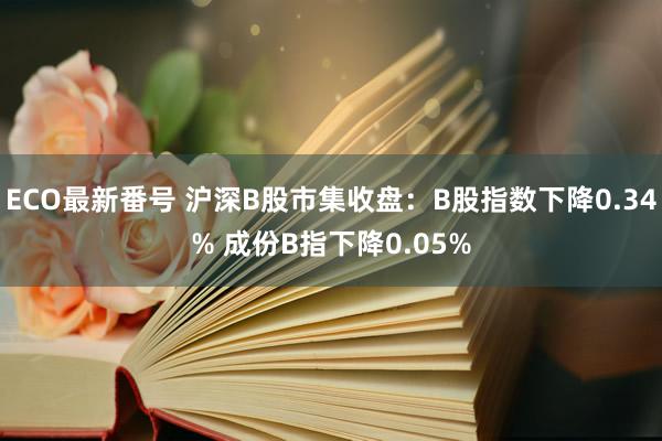 ECO最新番号 沪深B股市集收盘：B股指数下降0.34% 成份B指下降0.05%