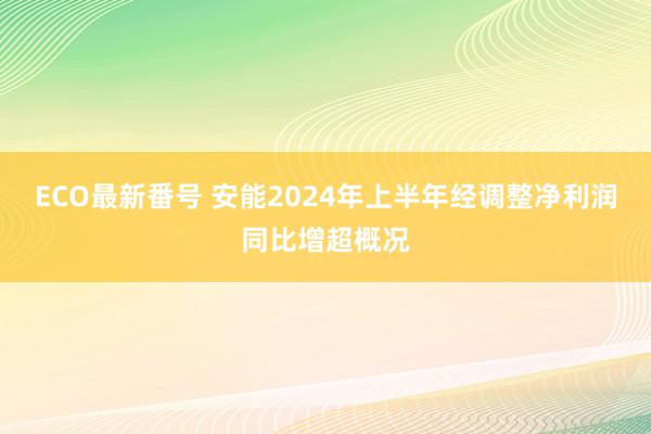 ECO最新番号 安能2024年上半年经调整净利润同比增超概况