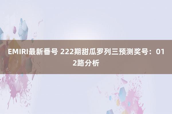 EMIRI最新番号 222期甜瓜罗列三预测奖号：012路分析