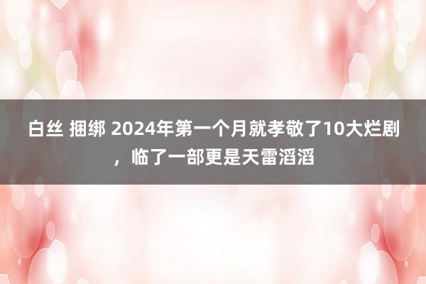 白丝 捆绑 2024年第一个月就孝敬了10大烂剧，临了一部更是天雷滔滔