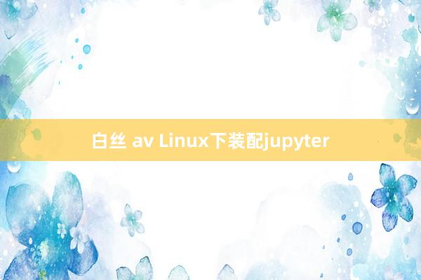 白丝 av Linux下装配jupyter