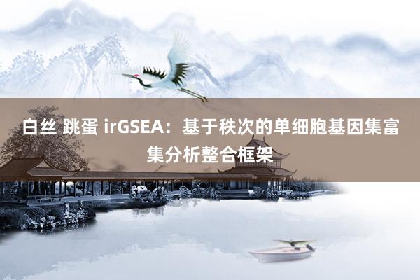 白丝 跳蛋 irGSEA：基于秩次的单细胞基因集富集分析整合框架