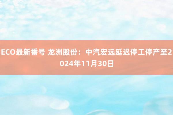 ECO最新番号 龙洲股份：中汽宏远延迟停工停产至2024年11月30日