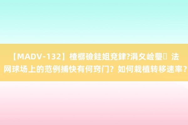 【MADV-132】楂樼礆銈姐兗銉?涓夊崄璺法 网球场上的范例捕快有何窍门？如何栽植转移速率？